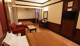 Hotel Vishnu Palace, Mussoorie-superior-4-bed-non-himalayan